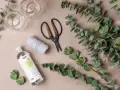 Préparation d'une bouture d'eucalyptus : brins verts, ciseaux, ficelle, glycérine végétale et deux petits bocaux.