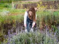 Une femme souriante s'occupe de la taille de lavande dans un champ fleuri.