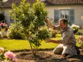 Un jardinier examine son lilas des Indes qui ne fleurit pas, espérant comprendre pourquoi.
