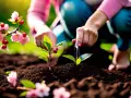 Des jeunes pousses plantées près de fleurs roses et de quelques cerises rouges.