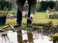 Un jardinier taille des branches pour savoir quand tailler un saule crevette. Des outils de jardinage sont à proximité.