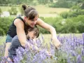 Une mère et sa fille cueillent de la lavande dans un champ parfumé, profitant d'un moment complice sous le soleil.