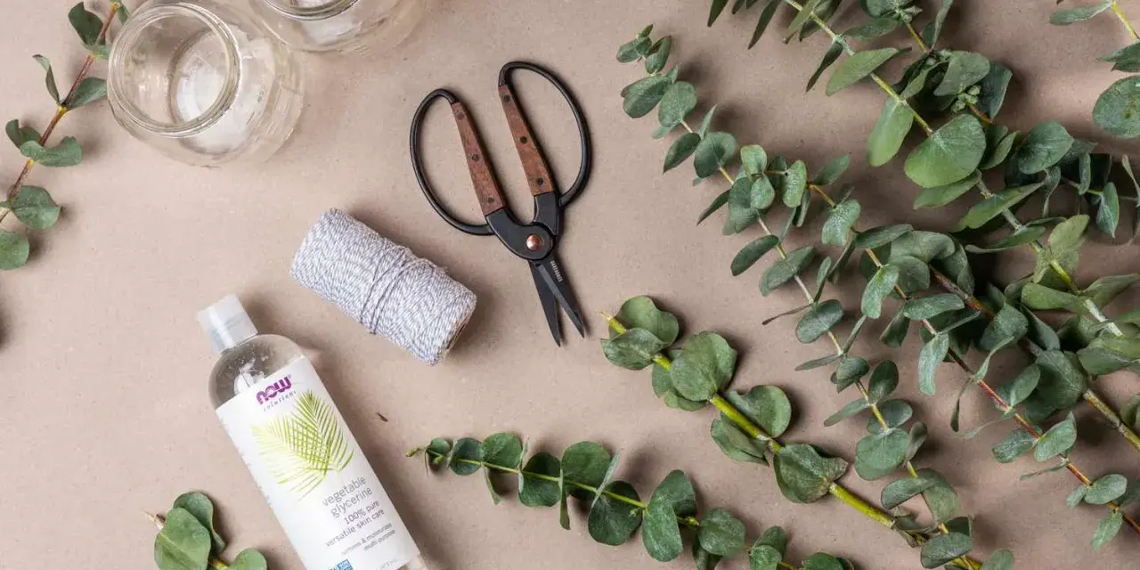 Préparation d'une bouture d'eucalyptus : brins verts, ciseaux, ficelle, glycérine végétale et deux petits bocaux.
