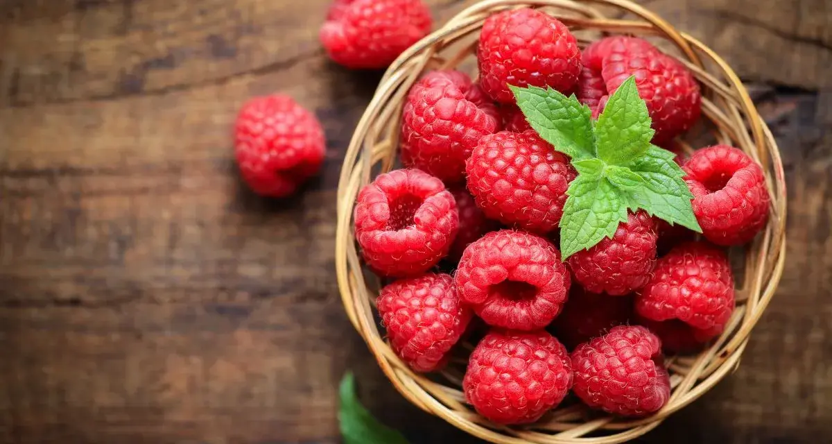Un panier de framboises fraîches, garni de menthe, sur fond de bois. Idéal pour savoir comment conserver des framboises.