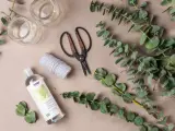 Préparation d'une bouture d'eucalyptus : brins verts, ciseaux, ficelle, glycérine végétale et deux petits bocaux.
