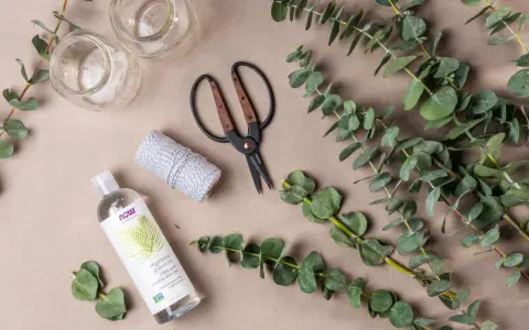 Préparation d'une bouture d'eucalyptus : brins verts, ciseaux, ficelle, glycérine végétale et deux petits bocaux.