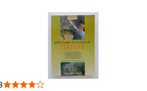 Guide complet sur la culture de l'olivier, ses propriétés et son exploitation. Une invitation à découvrir l'olivier plante.