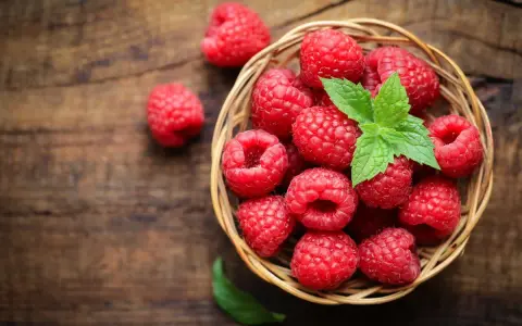 Un panier de framboises fraîches, garni de menthe, sur fond de bois. Idéal pour savoir comment conserver des framboises.