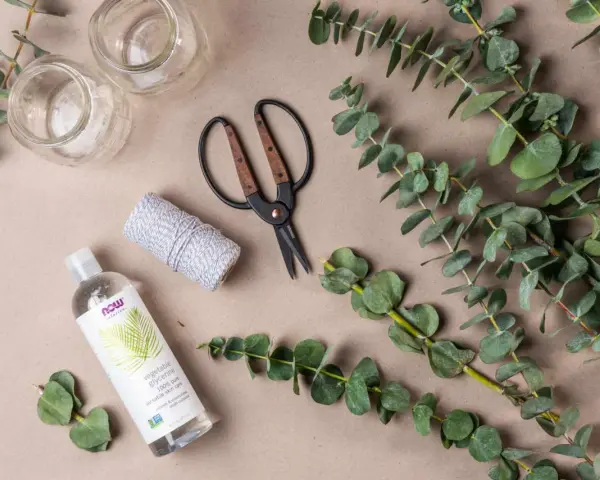Préparation d'une bouture d'eucalyptus : brins verts, ciseaux, ficelle, glycérine végétale et deux petits bocaux.