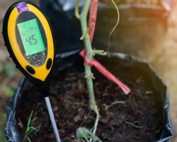 Un testeur de pH affiche 4.5, indiquant qu'il faut acidifier un sol pour une plante en pot.