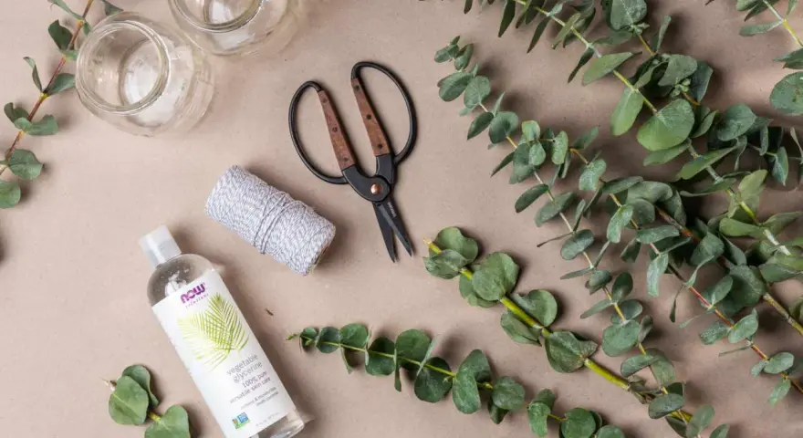 Préparation d'une bouture d'eucalyptus : brins verts, ciseaux, ficelle, glycérine végétale et deux petits bocaux.
