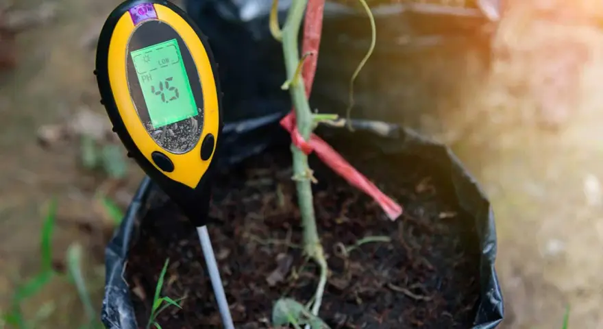 Un testeur de pH affiche 4.5, indiquant qu'il faut acidifier un sol pour une plante en pot.
