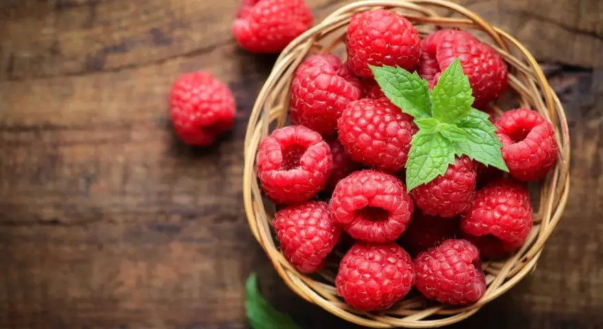 Un panier de framboises fraîches, garni de menthe, sur fond de bois. Idéal pour savoir comment conserver des framboises.