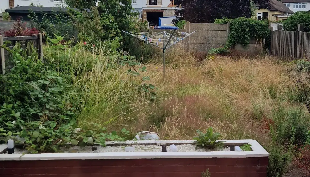 Un jardin envahi par les herbes hautes et les ronces. Une corde à linge se dresse au milieu, attendant que le soleil sèche le linge. Il est temps de se débarrasser des ronces pour retrouver un espace agréable.