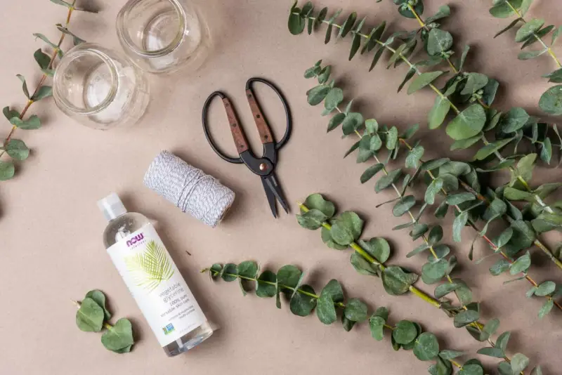 Préparation d'une bouture d'eucalyptus : brins verts, ciseaux, ficelle, glycérine végétale et deux petits bocaux.