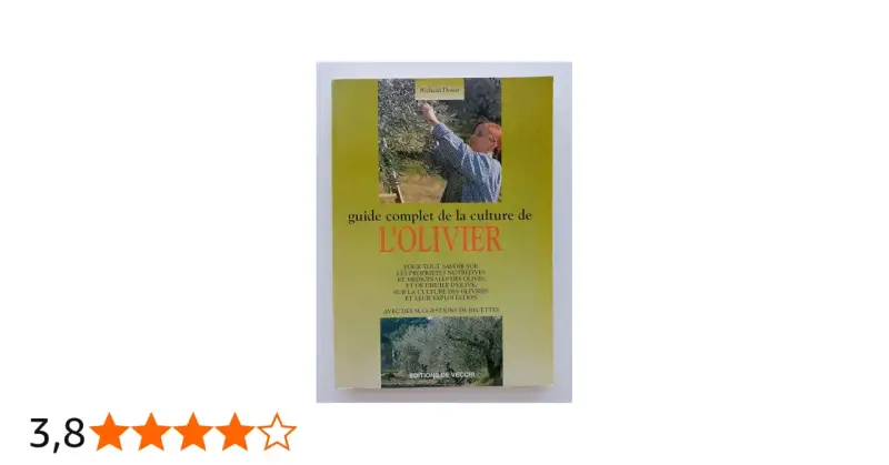 Guide complet sur la culture de l'olivier, ses propriétés et son exploitation. Une invitation à découvrir l'olivier plante.